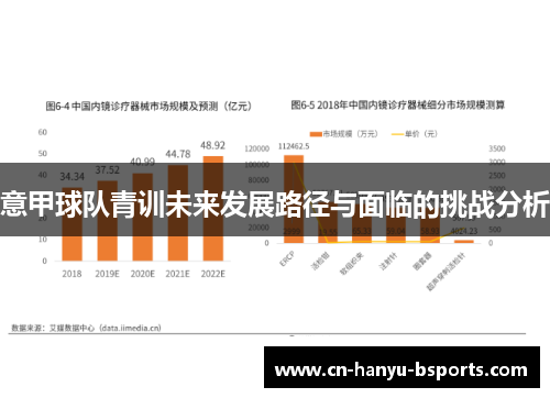 意甲球队青训未来发展路径与面临的挑战分析 意甲球队青训未来发展路径与面临的挑战分析