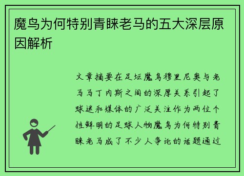 魔鸟为何特别青睐老马的五大深层原因解析