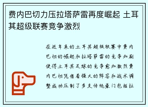 费内巴切力压拉塔萨雷再度崛起 土耳其超级联赛竞争激烈